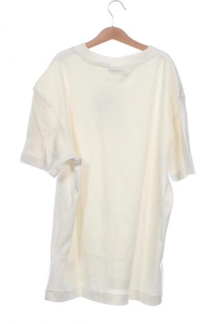 Herren T-Shirt Calvin Klein Jeans, Größe XS, Farbe Ecru, Preis 35,99 €