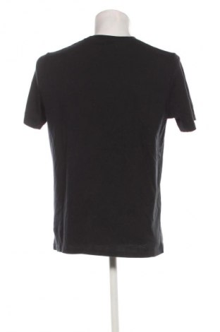 Herren T-Shirt Hollister, Größe L, Farbe Schwarz, Preis € 14,99