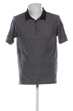 Herren T-Shirt James Pringle, Größe L, Farbe Mehrfarbig, Preis 9,79 €