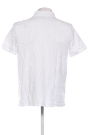 Herren T-Shirt STANLEY/STELLA, Größe L, Farbe Weiß, Preis 15,35 €
