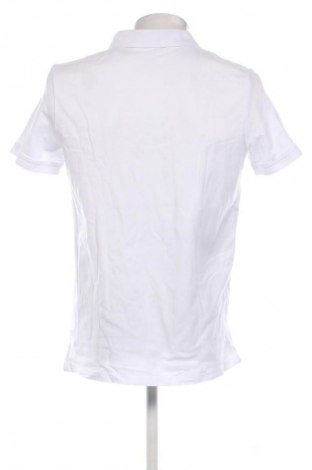 Herren T-Shirt Tom Tailor, Größe L, Farbe Weiß, Preis € 26,99