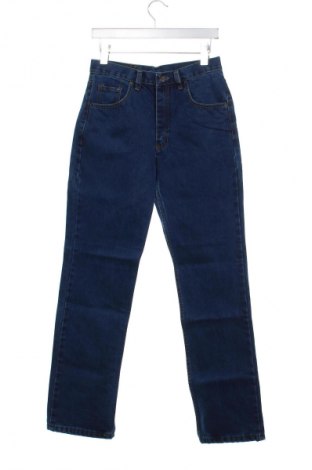 Ανδρικό τζίν Levi's, Μέγεθος S, Χρώμα Μπλέ, Τιμή 38,36 €