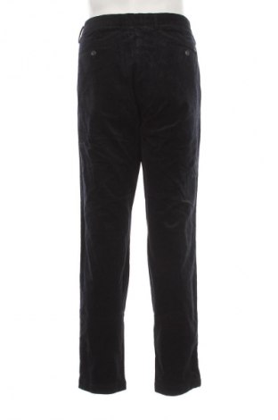 Herren Cordhose Massimo Dutti, Größe XL, Farbe Blau, Preis 35,00 €