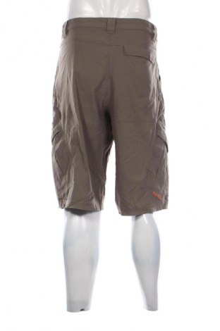 Herren Shorts Dare 2B, Größe XL, Farbe Grün, Preis € 17,30