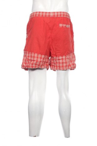 Herren Shorts Salewa, Größe L, Farbe Mehrfarbig, Preis € 29,99