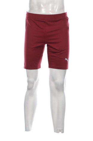 Pánské legíny  PUMA, Velikost XXL, Barva Červená, Cena  1 178,00 Kč