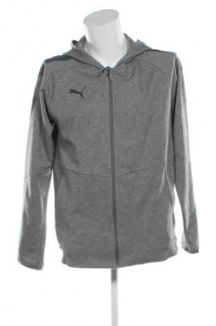 Ανδρικό φούτερ PUMA, Μέγεθος L, Χρώμα Γκρί, Τιμή 35,99 €