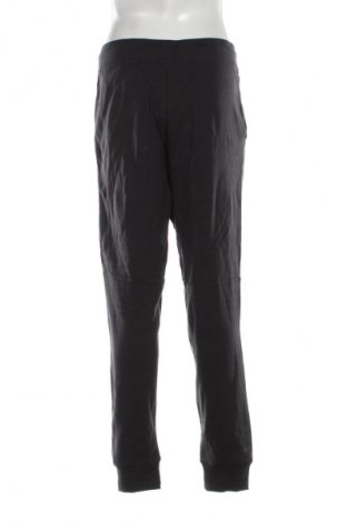 Pánske tepláky Crane, Veľkosť M, Farba Modrá, Cena  26,95 €