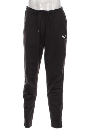 Herren Sporthose PUMA, Größe XL, Farbe Schwarz, Preis 55,24 €