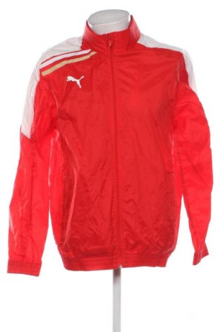 Herrenjacke PUMA, Größe L, Farbe Rot, Preis 41,98 €