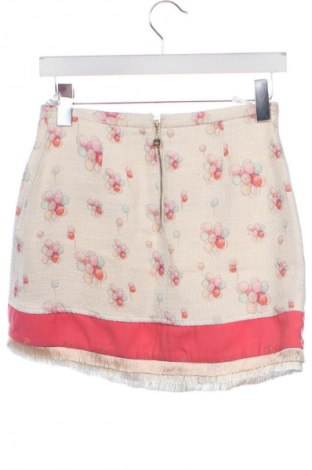 Fustă Elisabetta Franchi, Mărime S, Culoare Multicolor, Preț 373,68 Lei