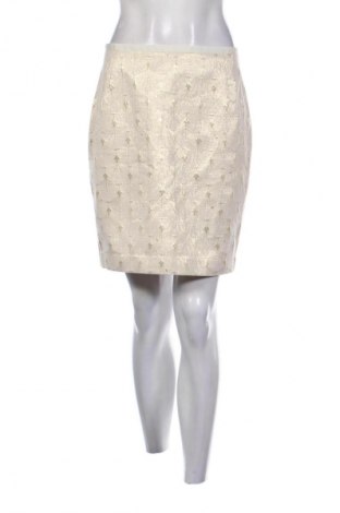 Fustă H&M, Mărime M, Culoare Multicolor, Preț 50,00 Lei