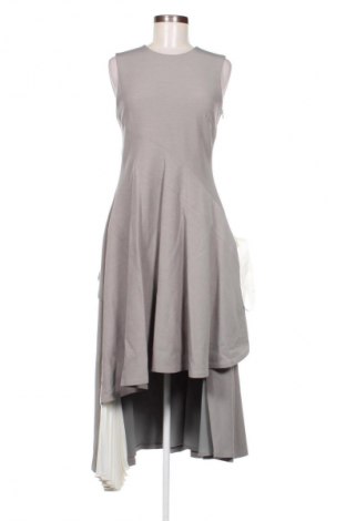 Kleid ADEAM, Größe S, Farbe Grau, Preis 224,86 €