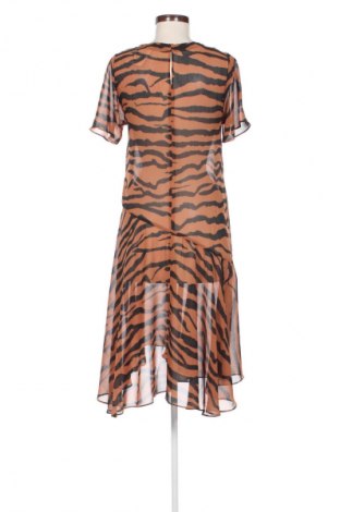 Kleid AllSaints, Größe XS, Farbe Mehrfarbig, Preis 66,48 €