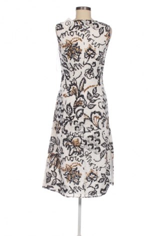 Kleid Betty Barclay, Größe S, Farbe Mehrfarbig, Preis € 42,00