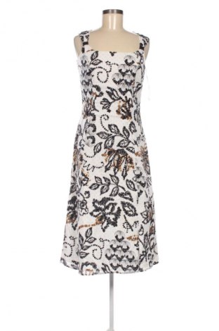 Kleid Betty Barclay, Größe S, Farbe Mehrfarbig, Preis € 42,00