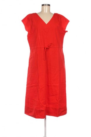 Kleid Bpc Bonprix Collection, Größe L, Farbe Rot, Preis 14,83 €