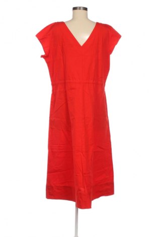Kleid Bpc Bonprix Collection, Größe L, Farbe Rot, Preis 14,83 €