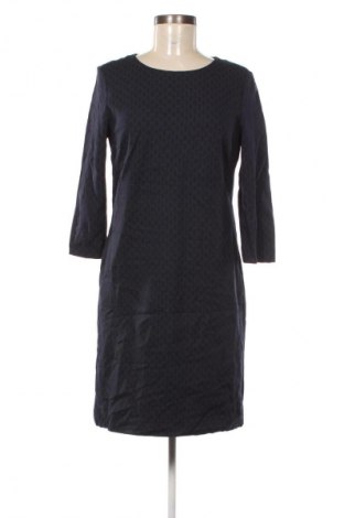 Kleid Cinque, Größe M, Farbe Mehrfarbig, Preis 56,99 €