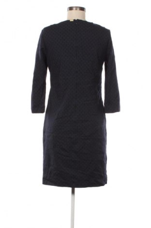 Kleid Cinque, Größe M, Farbe Mehrfarbig, Preis 56,99 €