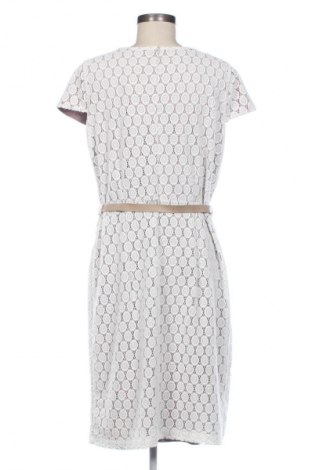 Kleid Collection, Größe XXL, Farbe Ecru, Preis 18,99 €