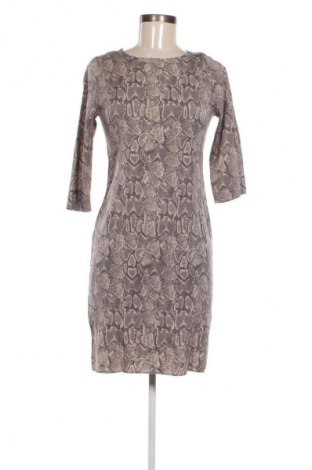 Kleid Graumann, Größe XS, Farbe Mehrfarbig, Preis € 41,94