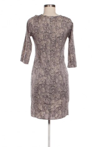 Kleid Graumann, Größe XS, Farbe Mehrfarbig, Preis € 41,94