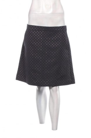 Sukně Holly & Whyte By Lindex, Velikost L, Barva Vícebarevné, Cena  309,00 Kč