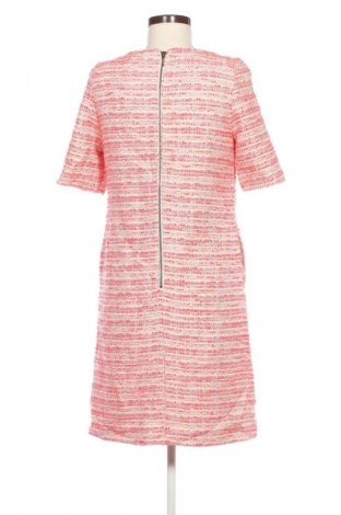 Kleid John Lewis, Größe M, Farbe Mehrfarbig, Preis 16,99 €