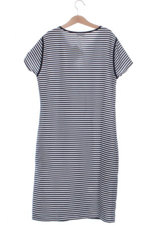 Kleid Nautica, Größe XXS, Farbe Mehrfarbig, Preis 42,00 €