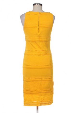 Kleid New York & Company, Größe M, Farbe Gelb, Preis € 25,00