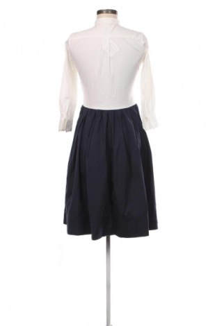 Kleid Sara Roka, Größe S, Farbe Mehrfarbig, Preis 98,16 €