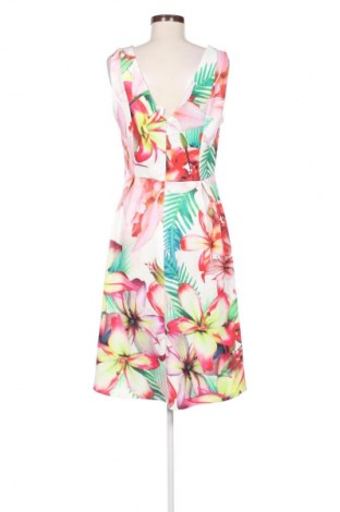 Kleid Star By Julien Macdonald, Größe L, Farbe Mehrfarbig, Preis € 24,49