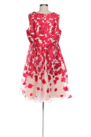 Kleid Studio 8, Größe XL, Farbe Mehrfarbig, Preis 49,10 €