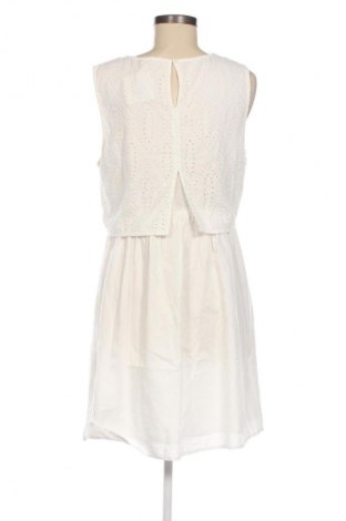 Kleid Tom Tailor, Größe XL, Farbe Ecru, Preis 24,57 €