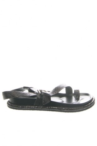 Sandały Massimo Dutti, Rozmiar 39, Kolor Brązowy, Cena 552,53 zł