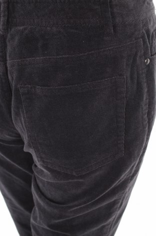 Дамски панталон Tahari, Размер S, Цвят Сив, Цена 48,00 лв.