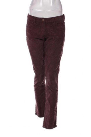 Pantaloni de velvet de femei Blue Motion, Mărime M, Culoare Mov, Preț 95,39 Lei