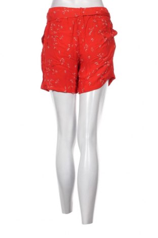 Γυναικείο κοντό παντελόνι Minimum, Μέγεθος S, Χρώμα Πολύχρωμο, Τιμή 5,26 €