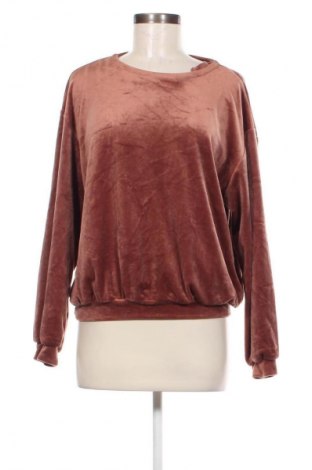 Damen Shirt, Größe XL, Farbe Braun, Preis 6,49 €