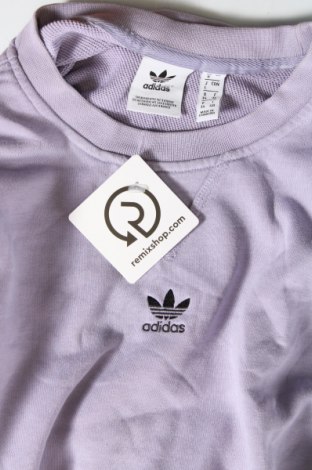 Damen Shirt Adidas Originals, Größe XS, Farbe Lila, Preis 23,99 €