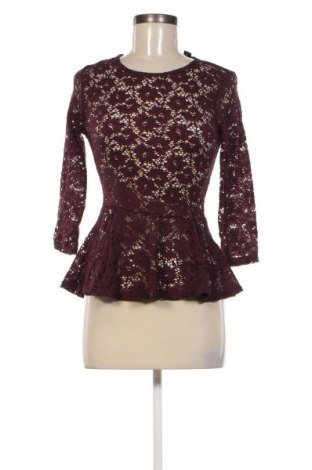 Damen Shirt Amisu, Größe XS, Farbe Braun, Preis € 3,99