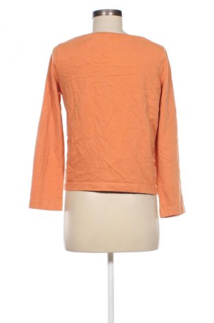 Damen Shirt Armedangels, Größe XS, Farbe Orange, Preis 9,99 €