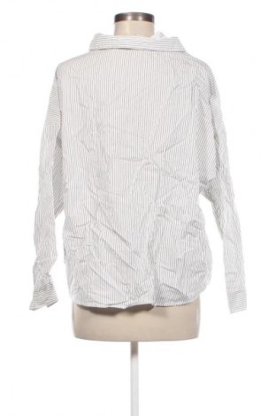 Damen Shirt Bershka, Größe M, Farbe Weiß, Preis € 3,99