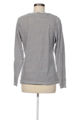 Damen Shirt Blue Motion, Größe L, Farbe Mehrfarbig, Preis € 6,29