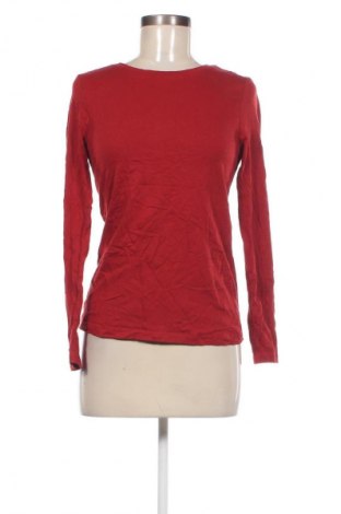 Damen Shirt Blue Motion, Größe M, Farbe Rot, Preis € 4,29