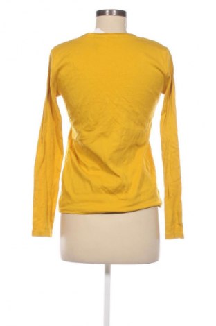 Damen Shirt Cecil, Größe M, Farbe Gelb, Preis 8,99 €