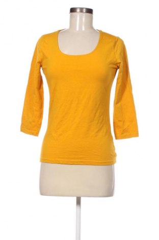 Damen Shirt Colours Of The World, Größe S, Farbe Gelb, Preis € 4,99