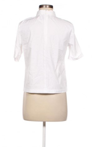 Damen Shirt Daniel Hechter, Größe S, Farbe Weiß, Preis 56,78 €