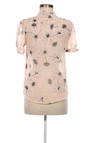 Damen Shirt Dorothy Perkins, Größe S, Farbe Mehrfarbig, Preis € 6,99